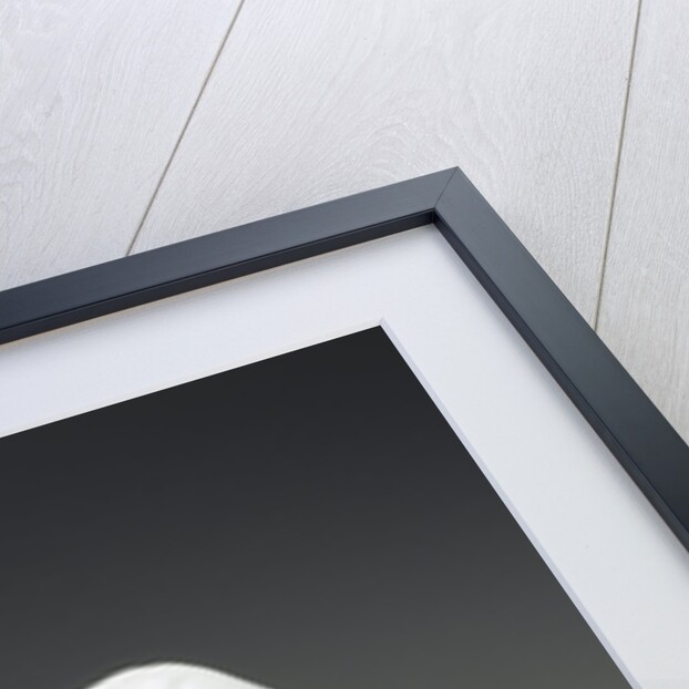 A Fox with a Chicken by Meissen Porcelain Manufactory