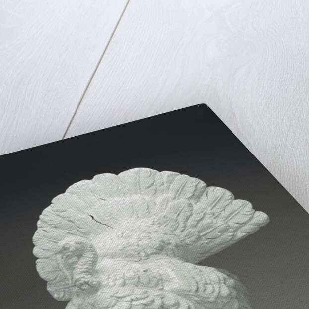 A Turkey by Meissen Porcelain Manufactory