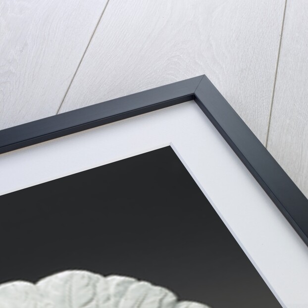 A Turkey by Meissen Porcelain Manufactory