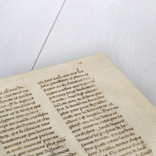 Text Page by Anonymous