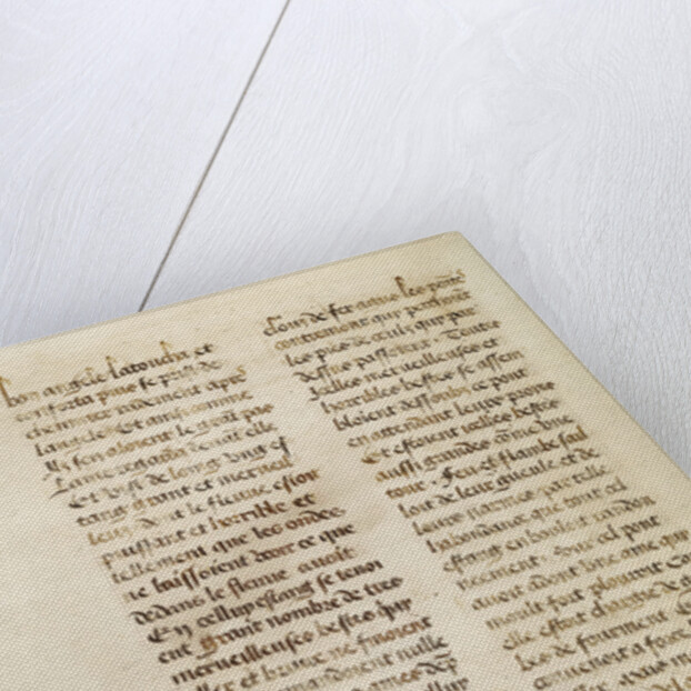 Text Page by Anonymous