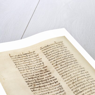 Text Page by Anonymous