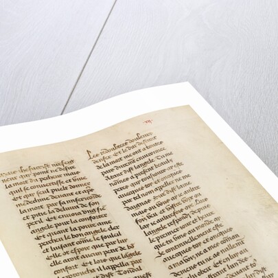 Text Page by Anonymous
