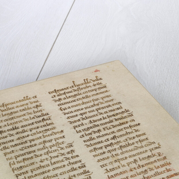 Text Page by Anonymous