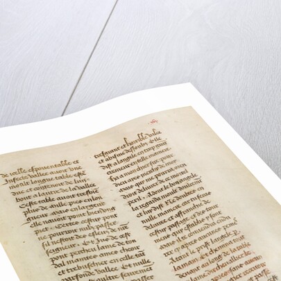 Text Page by Anonymous