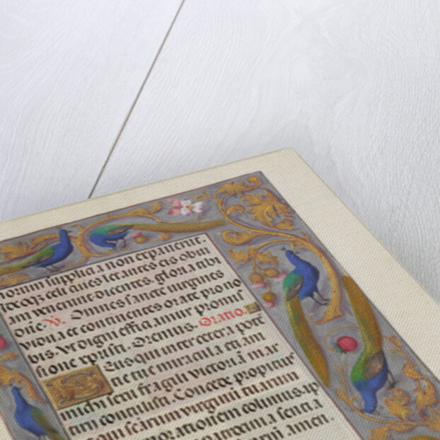 Decorated Text Page by Anonymous