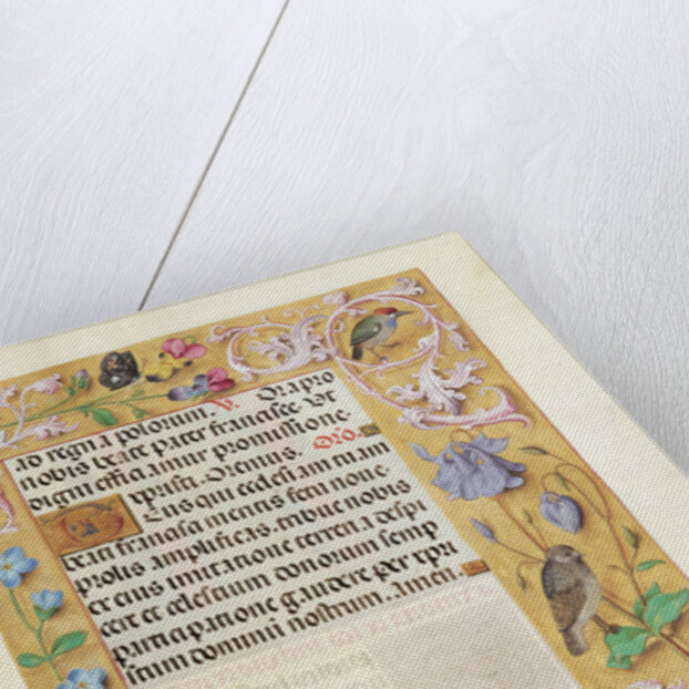 Decorated Text Page by Anonymous