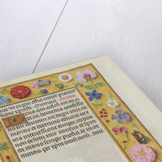 Decorated Text Page by Anonymous