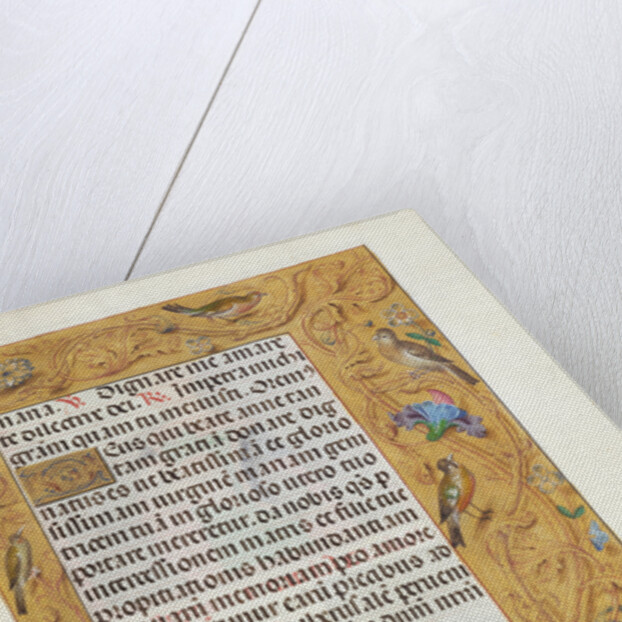 Decorated Text Page by Anonymous
