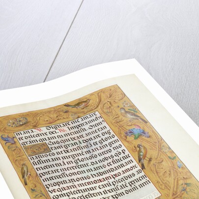 Decorated Text Page by Anonymous