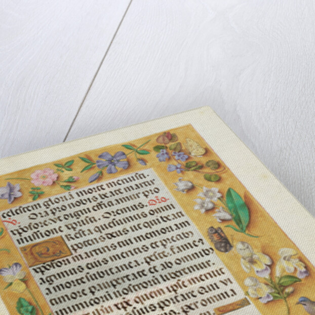 Decorated Text Page by Anonymous