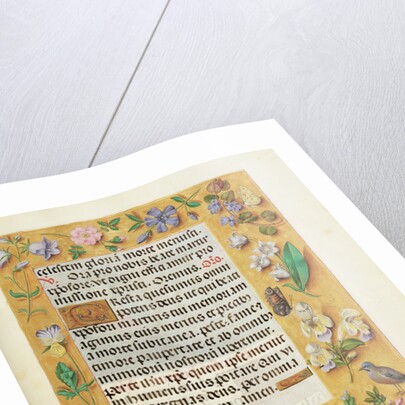 Decorated Text Page by Anonymous