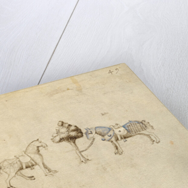 Two Horses by Fiore Furlan dei Liberi da Premariacco