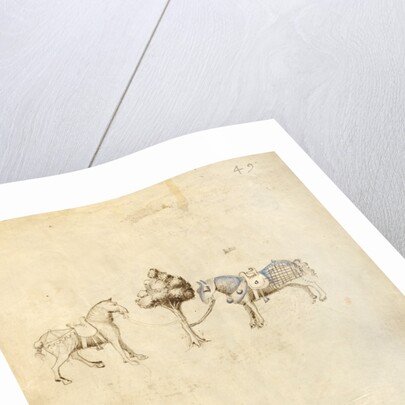 Two Horses by Fiore Furlan dei Liberi da Premariacco