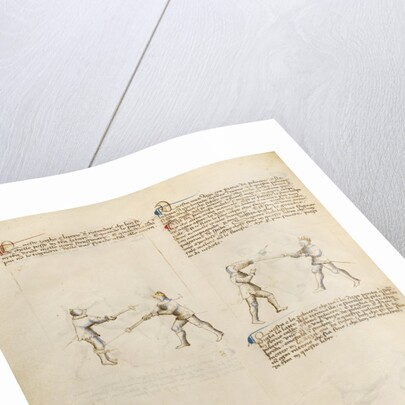 Combat with Implements by Fiore Furlan dei Liberi da Premariacco