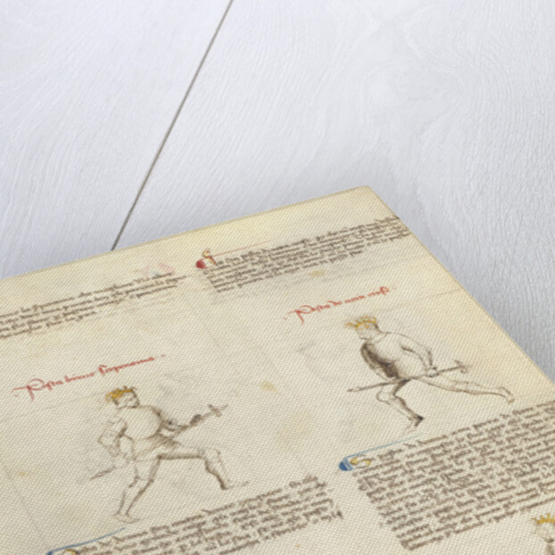 Combat with Pollaxe by Fiore Furlan dei Liberi da Premariacco