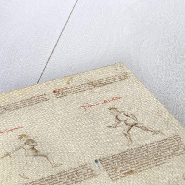 Combat with Sword by Fiore Furlan dei Liberi da Premariacco