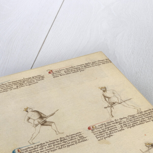 Combat with Sword by Fiore Furlan dei Liberi da Premariacco