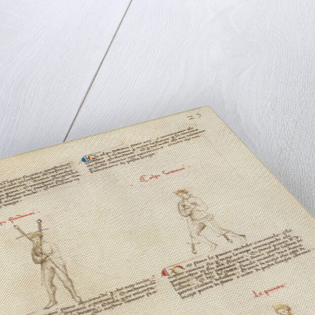Combat with Sword by Fiore Furlan dei Liberi da Premariacco
