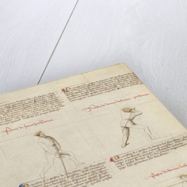 Combat with Sword by Fiore Furlan dei Liberi da Premariacco