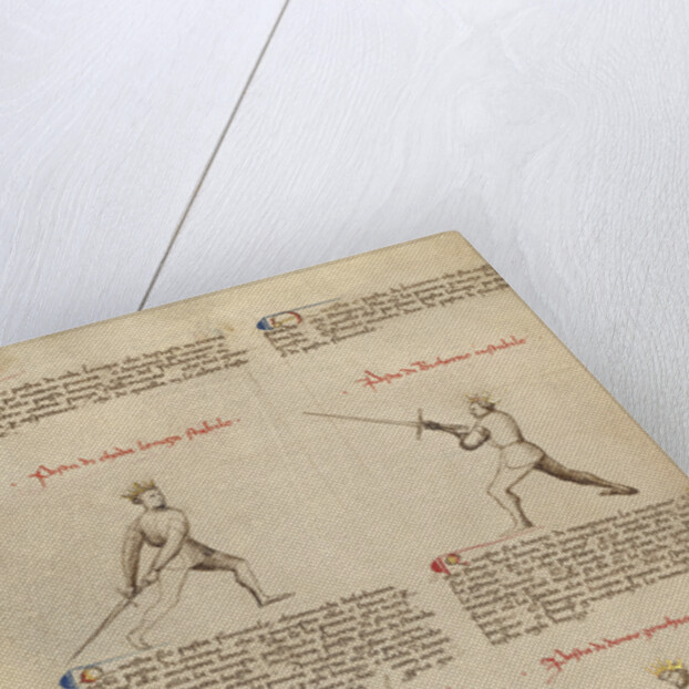 Combat with Sword by Fiore Furlan dei Liberi da Premariacco