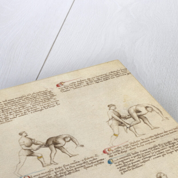 Combat with Dagger by Fiore Furlan dei Liberi da Premariacco
