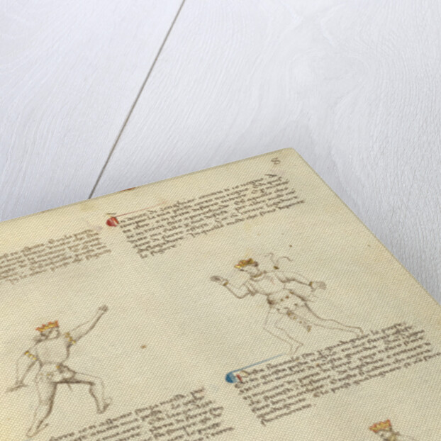 Unarmed Combat by Fiore Furlan dei Liberi da Premariacco