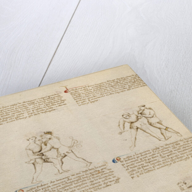 Unarmed Combat by Fiore Furlan dei Liberi da Premariacco