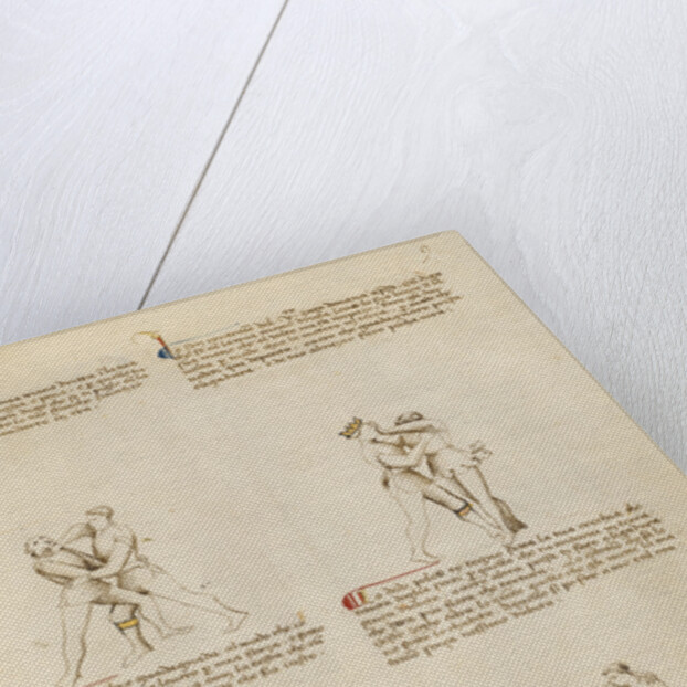 Unarmed Combat by Fiore Furlan dei Liberi da Premariacco