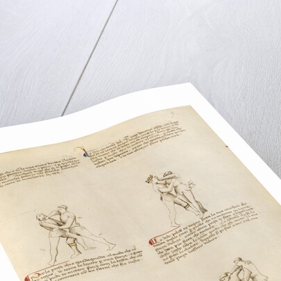 Unarmed Combat by Fiore Furlan dei Liberi da Premariacco