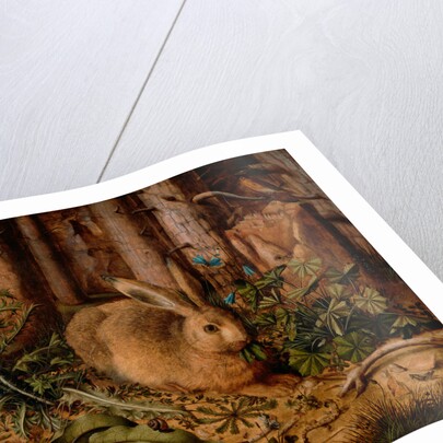 A Hare in the Forest by Hans Hoffmann