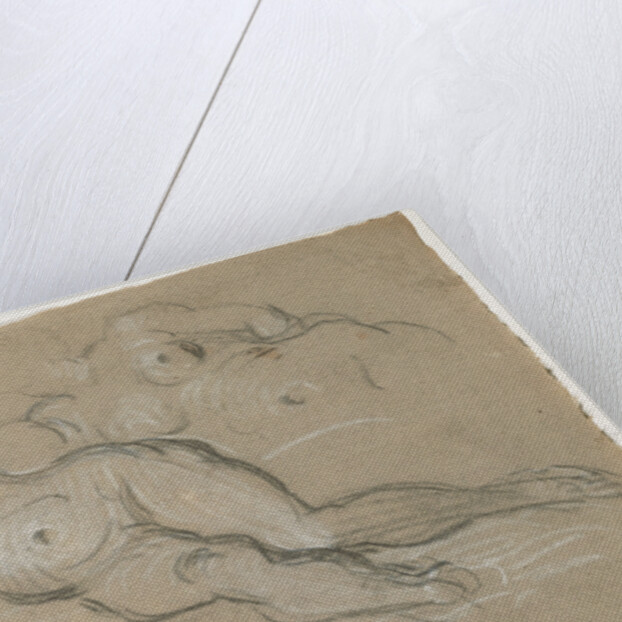 Two Studies of a Reclining Female Nude by Domenico Tintoretto