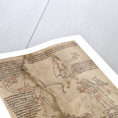 Constellation Diagrams by Anonymous