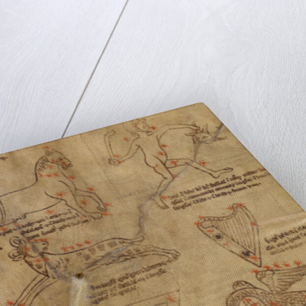 Constellation Diagrams by Anonymous