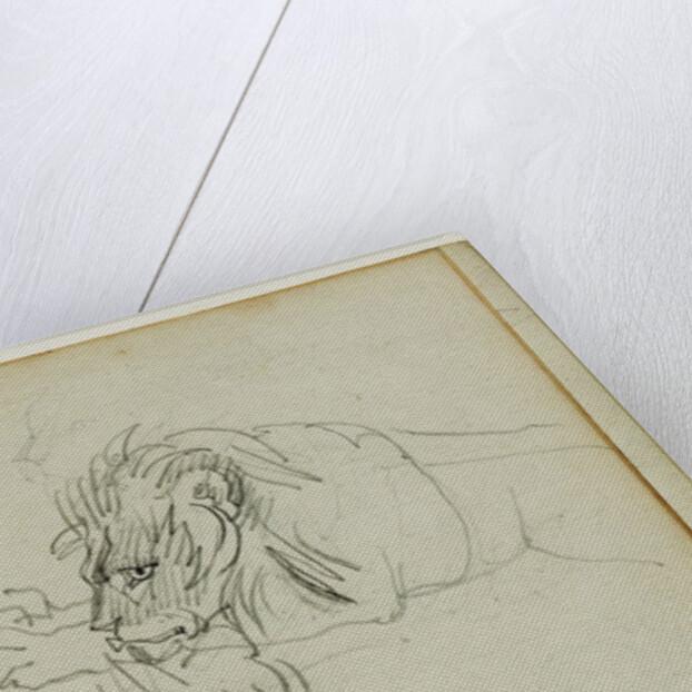 Three lion studies by Théodore Géricault