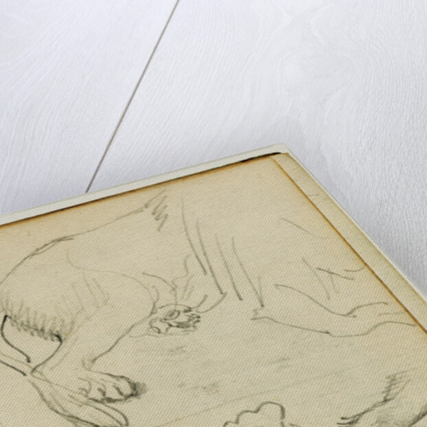 Various studies of lion leg, paws and head by Théodore Géricault