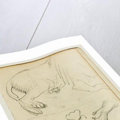 Various studies of lion leg, paws and head by Théodore Géricault