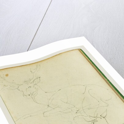 Studies of a seated stag, a fawn, a goat head by Théodore Géricault