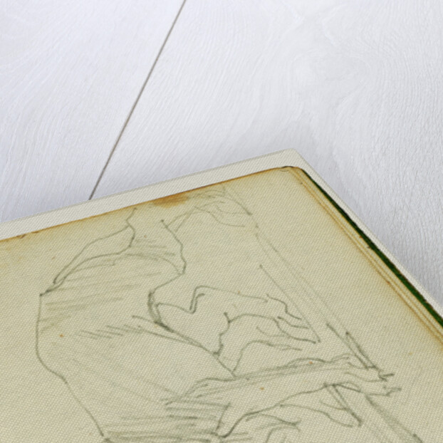 Pair of lions by Théodore Géricault