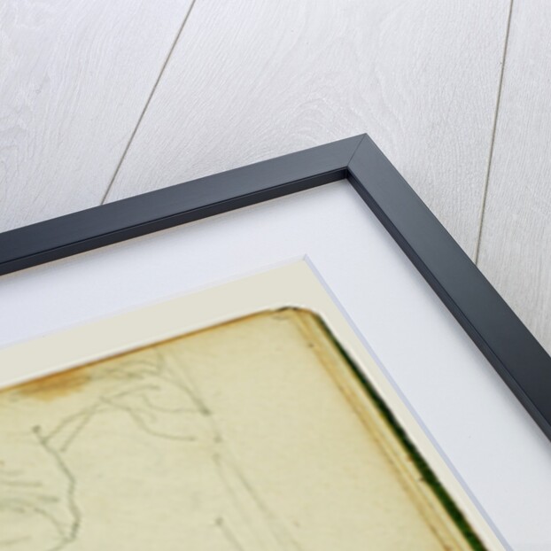 Pair of lions by Théodore Géricault