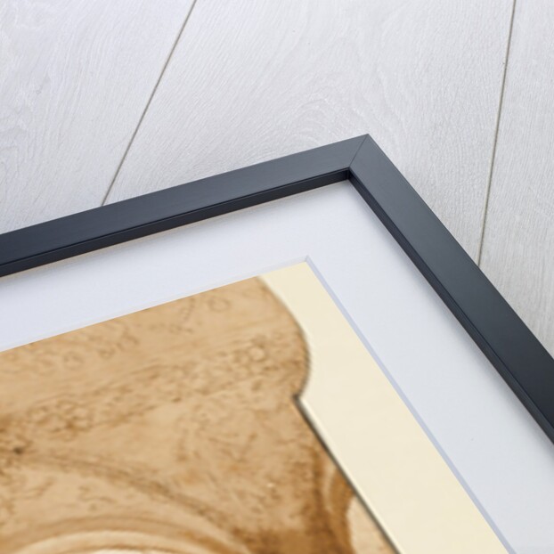 Taddeo Copying Raphael's Frescoes in the Loggia of the Villa Farnesina, Where He is Also Represented Asleep by Federico Zuccaro