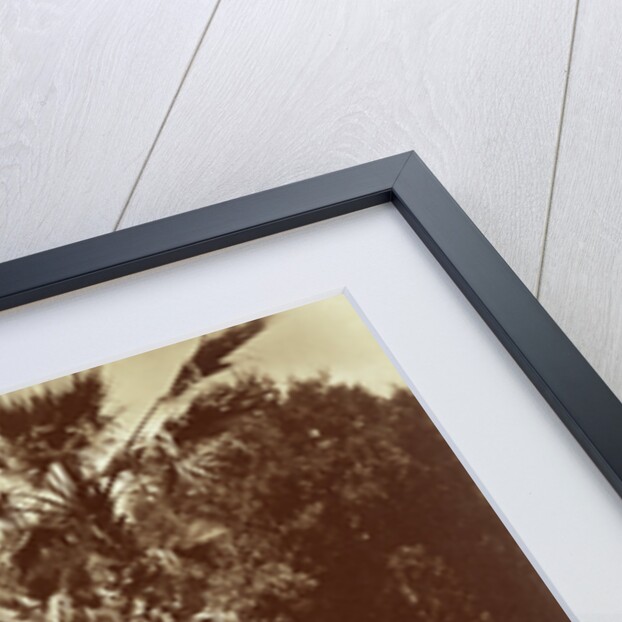 Thurlow Lodge - Tent and Family Group by Carleton Watkins