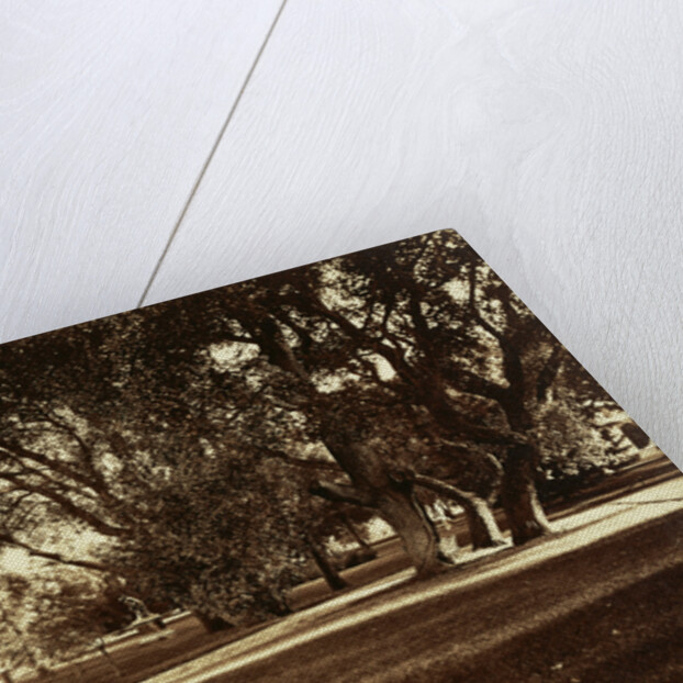 Thurlow Lodge - Lawn View by Carleton Watkins