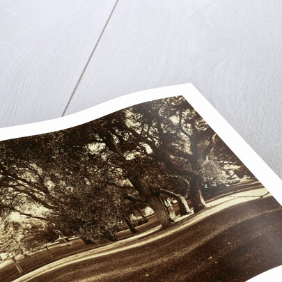 Thurlow Lodge - Lawn View by Carleton Watkins