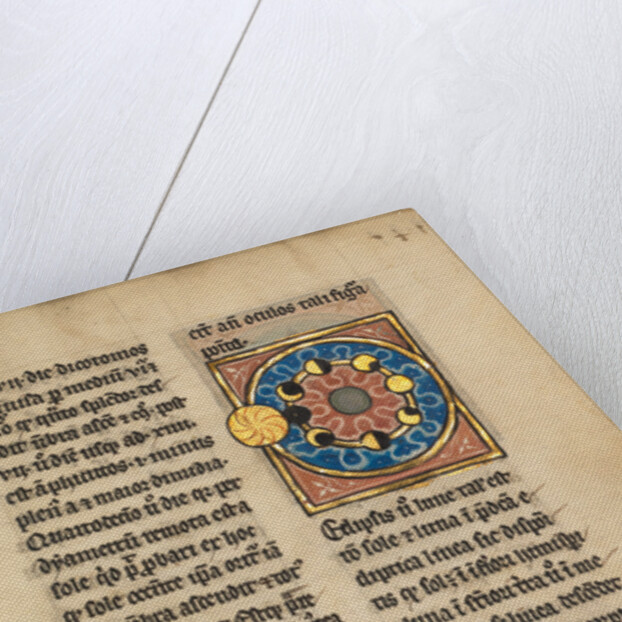 Diagram with the Sun and the Phases of the Moon by Anonymous