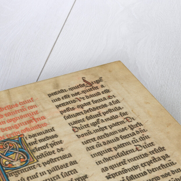 Decorated Initial S by Anonymous