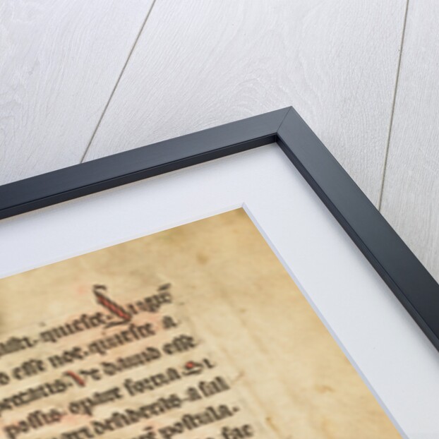 Decorated Initial S by Anonymous