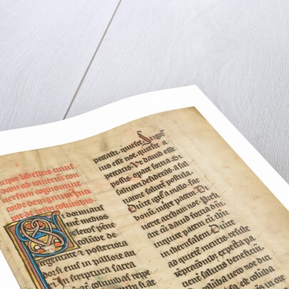 Decorated Initial S by Anonymous