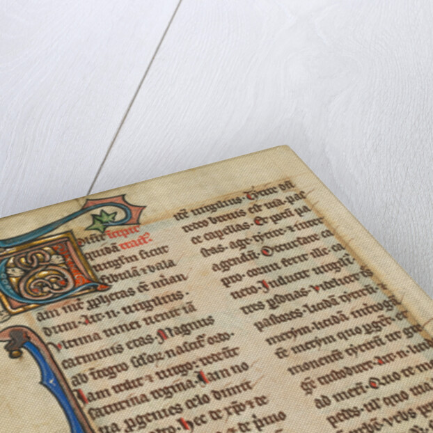 Decorated Initial V by Anonymous