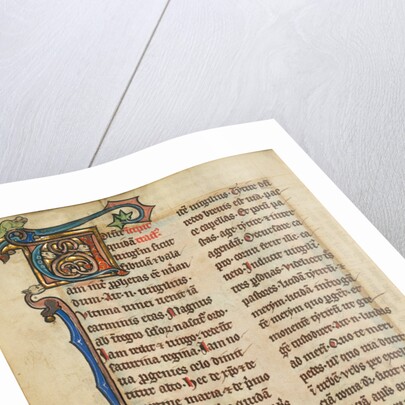 Decorated Initial V by Anonymous